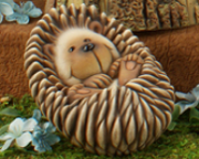 Baby Bella Hedgehog
